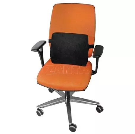 Lampa ΜΑΞΙΛΑΡΙ ΚΑΘΙΣΜΑΤΟΣ ΠΛΑΤΗΣ ΜΕ ΑΦΡΟ (MEMORY FOAM) ERGO SEAT LUMBAR SUPPORT L5436.6 