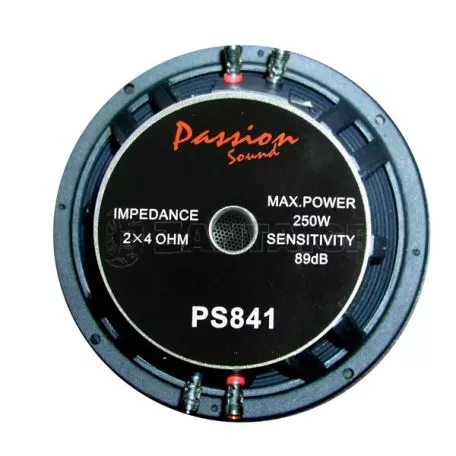 SUBWOOFER 250W PS-841 