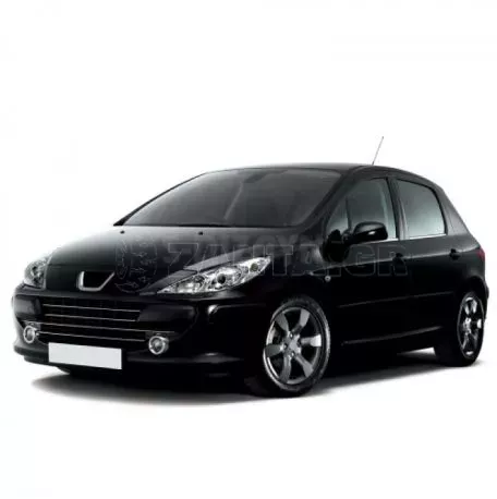 S-DIZAYN TRIM ΠΑΡΑΘΥΡΩΝ 4ΤΕΜ ΑΝΟΞ.ΑΤΣΑΛΙ ΧΡΩΜΙΟ ΓΙΑ PEUGEOT 307 5D HB/SW 01-08 6905060/SD 